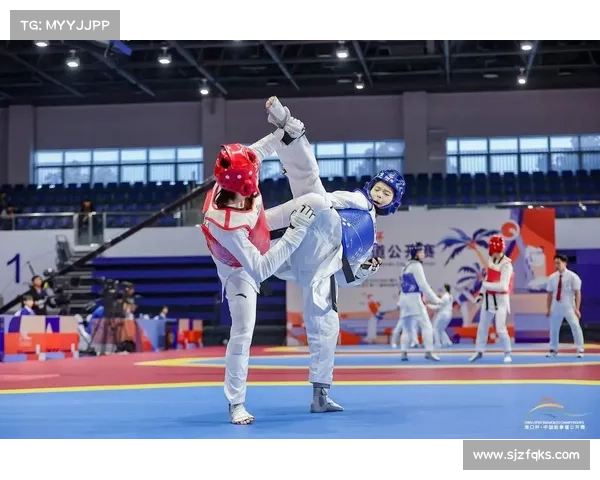 跆拳道国内赛事-跆拳道中国公开赛